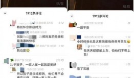 哪里找爆料的视频,追踪热门视频爆料的源头揭秘