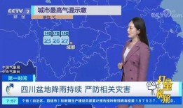 四川爆料热点事件视频最新,惊曝事件视频引发全网热议