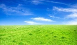 女子爆料破坏草地视频大全,公共道德与个人行为的反思