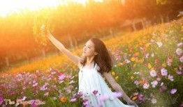 女子爆料破坏草地视频大全,公共道德与个人行为的反思
