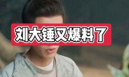 娱乐爆料大锤视频播放网站,热门视频网站背后的秘密