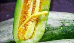网红吃瓜网站推荐,带你领略娱乐圈风云变幻