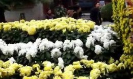 包公游地府在线观看,揭秘古代传奇故事，在线观看惊悚悬疑之旅