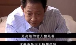 枫丹大叔爆料视频大全集,揭秘幕后真相与精彩瞬间