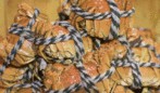 日料刺身爆料视频,独家爆料视频大公开