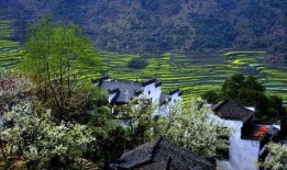 乡村里的中国 在线观看,探寻传统与现代交融的美丽画卷
