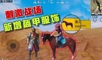 无心说游爆料视频,独家爆料视频深度解析