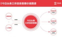 山东农村今日头条爆料群,聚焦乡村热点，传递民生声音