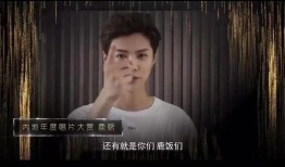枫丹大叔爆料视频大全集,揭秘幕后真相与精彩瞬间