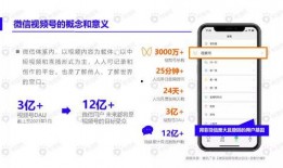 果茶小料爆料方法视频,轻松掌握自制美味果茶技巧