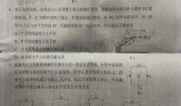 哇塞王琳最新爆料消息是真的吗,真相揭秘，可信度分析