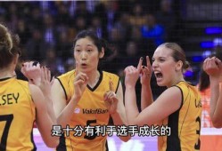 外媒爆料李盈莹视频大全,外媒爆料视频大全